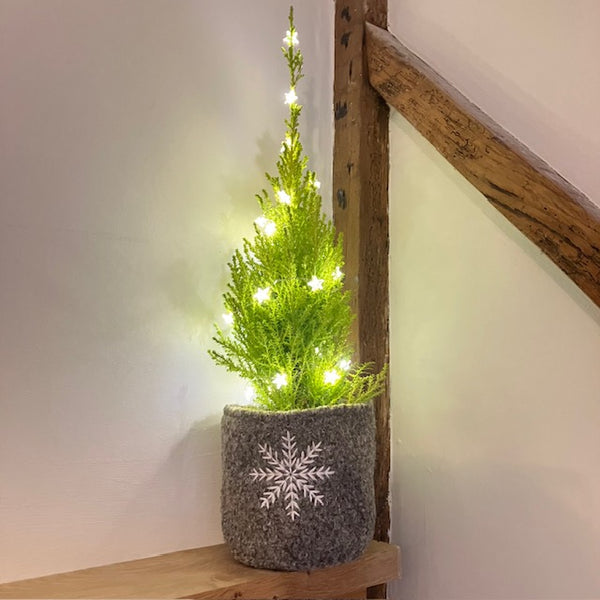 The Little LED Wire Star Lights are ideal for adding ambient cosy lighting to you home decor